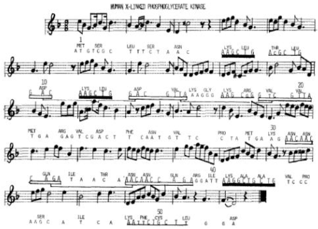 楽譜の画像_small